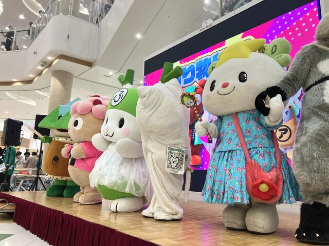 image6.jpeg