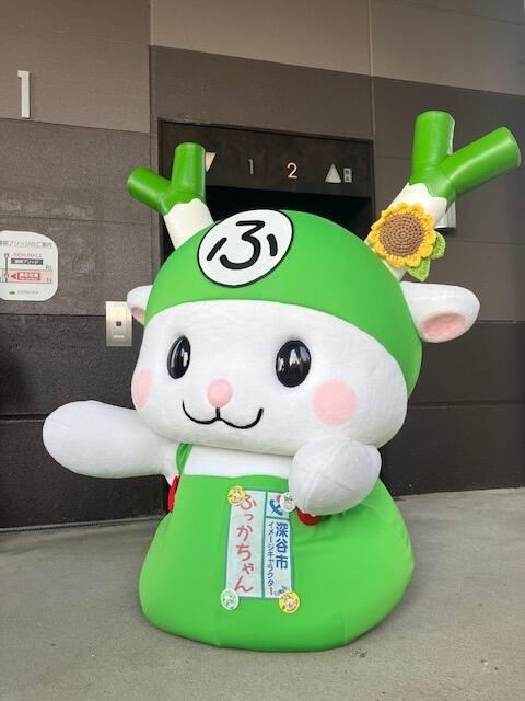image1.jpeg